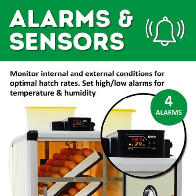 Image showing 6 th Hatching Time HB Series 500 Setter Only Full Automatic Chicken Egg Incubator