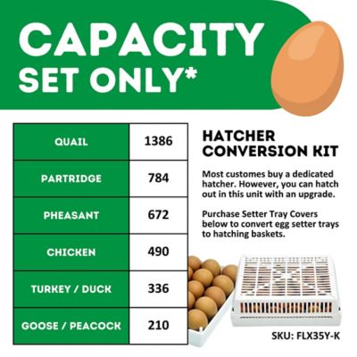 Image showing 7 th Hatching Time HB Series 500 Setter Only Full Automatic Chicken Egg Incubator