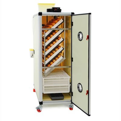 Hatching Time HB Series 500 Set & Hatch Full Automatic Chicken Egg Incubator