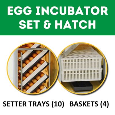 Image showing  HB Series 500 Set & Hatch Full Automatic Chicken Egg Incubator
