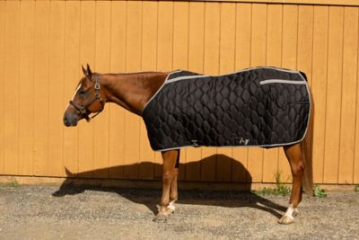 TuffRider Shelter Closed Front Heavyweight Stable Blanket