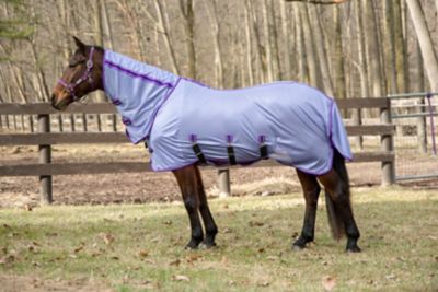 Image showing  Comfy Plus Combo Neck Fly Sheet