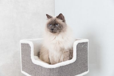 Image showing  33.9 in. Ava XXL Cat Tree, Thick Scratching Post, Cat Condo, Cozy Platform with Cushion, Dangling Cat Toy, Gray