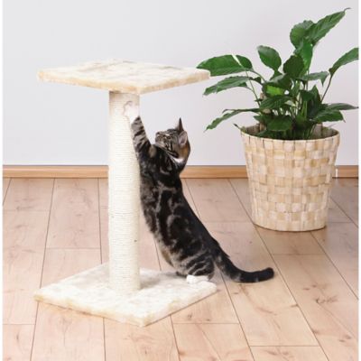 Image showing  Espejo 27 in. Cat Scratching Post with Plush Platform, Sisal Cat Scratcher, Beige