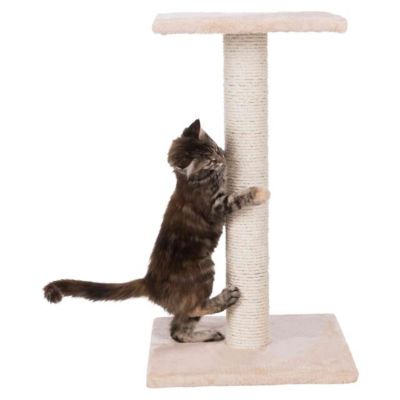 Image showing 5 th TRIXIE Espejo 27 in. Cat Scratching Post with Plush Platform, Sisal Cat Scratcher, Beige