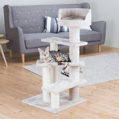 Image showing  Tulia Senior Plush & Sisal 4-Level 40.2 in. Cat Tree, Scratching Posts & Bed