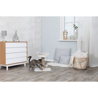 Image showing  Mica 18 in. Cat Tree for Kittens, Sisal Scratching Post, Padded Platform, Dangling Cat Toy, Greige