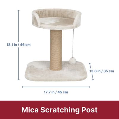 Image showing  Mica 18 in. Cat Tree for Kittens, Sisal Scratching Post, Padded Platform, Dangling Cat Toy, Greige
