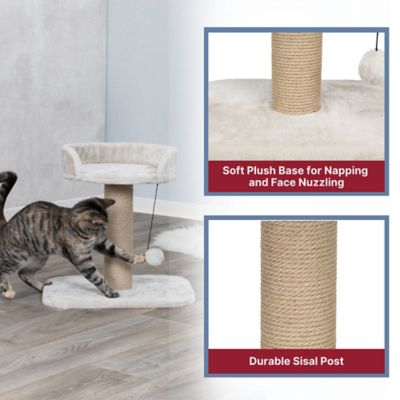 Image showing  Mica 18 in. Cat Tree for Kittens, Sisal Scratching Post, Padded Platform, Dangling Cat Toy, Greige