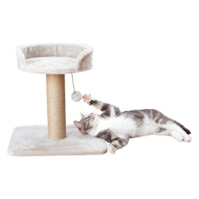 Image showing 6 th TRIXIE Mica 18 in. Cat Tree for Kittens, Sisal Scratching Post, Padded Platform, Dangling Cat Toy, Greige