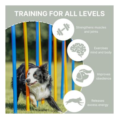 Image showing 6 th TRIXIE Portable Agility Dog Training Slalom Set, 12-Pack