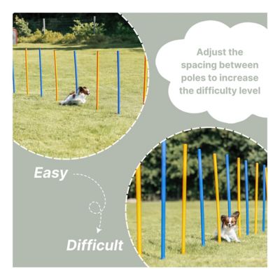 Image showing 7 th TRIXIE Portable Agility Dog Training Slalom Set, 12-Pack