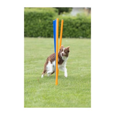 Image showing 8 th TRIXIE Portable Agility Dog Training Slalom Set, 12-Pack