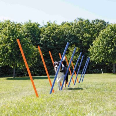 Image showing 10 th TRIXIE Portable Agility Dog Training Slalom Set, 12-Pack