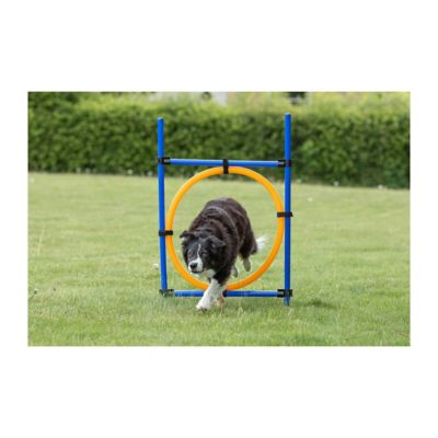 Image showing  Portable Agility Dog Training Obstacle Course Ring