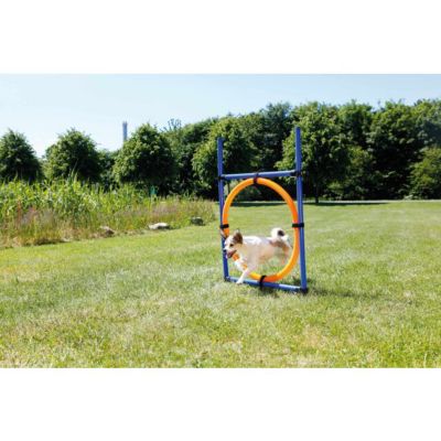 Image showing  Portable Agility Dog Training Obstacle Course Ring