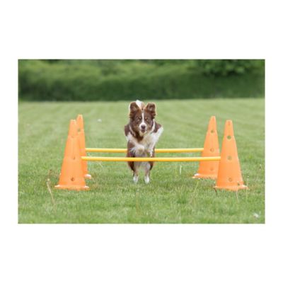 Image showing  Dog Agility Hurdle Cone Set, Portable Canine Agility Training Set, 6 Exercise Cones with 3 Agility Rods