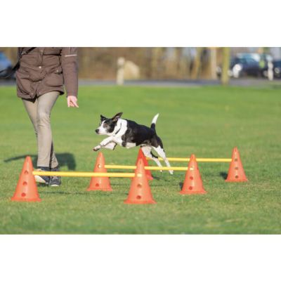Image showing  Dog Agility Hurdle Cone Set, Portable Canine Agility Training Set, 6 Exercise Cones with 3 Agility Rods