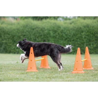 Image showing  Dog Agility Hurdle Cone Set, Portable Canine Agility Training Set, 6 Exercise Cones with 3 Agility Rods