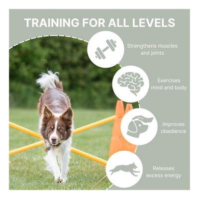 Image showing 5 th TRIXIE Dog Agility Hurdle Cone Set, Portable Canine Agility Training Set, 6 Exercise Cones with 3 Agility Rods