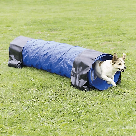 TRIXIE Dog Agility Tunnel 6.5 ft., Portable Dog Training Tunnel, Obedience, Exercise Equipment