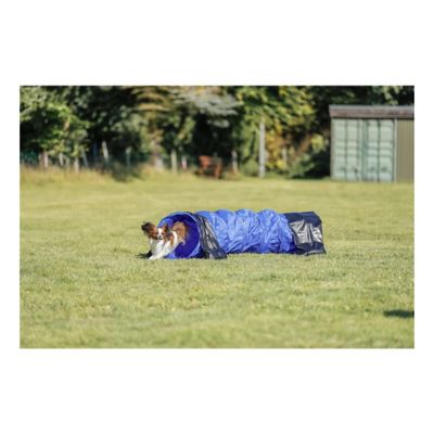 Image showing  Dog Agility Tunnel 6.5 ft., Portable Dog Training Tunnel, Obedience, Exercise Equipment