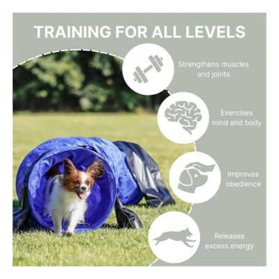Image showing  Dog Agility Tunnel 6.5 ft., Portable Dog Training Tunnel, Obedience, Exercise Equipment