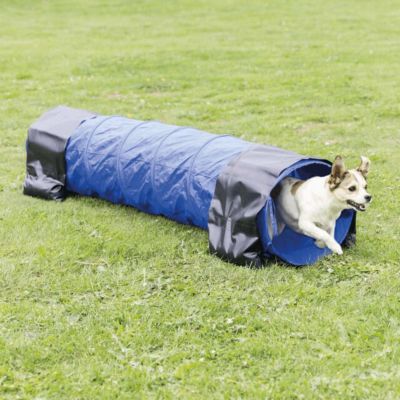 Image showing 6 th TRIXIE Dog Agility Tunnel 6.5 ft., Portable Dog Training Tunnel, Obedience, Exercise Equipment