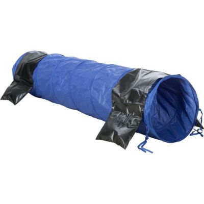 Image showing 7 th TRIXIE Dog Agility Tunnel 6.5 ft., Portable Dog Training Tunnel, Obedience, Exercise Equipment