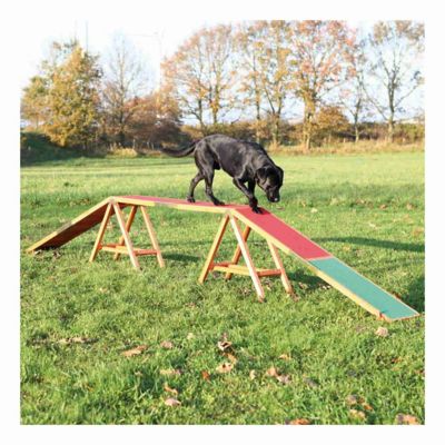 Image showing  Agility Dog Training Dogwalk