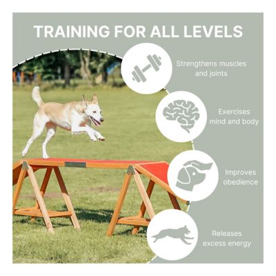 Image showing  Agility Dog Training Dogwalk