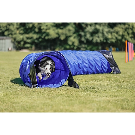 TRIXIE Dog Agility Tunnel 16.5 ft., Portable Dog Training Tunnel, Obedience, Exercise Equipment