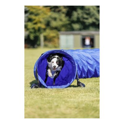 Image showing  16.5 ft. Portable Agility Dog Training Tunnel