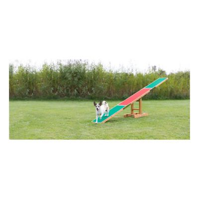 Image showing  Agility Dog Training Seesaw