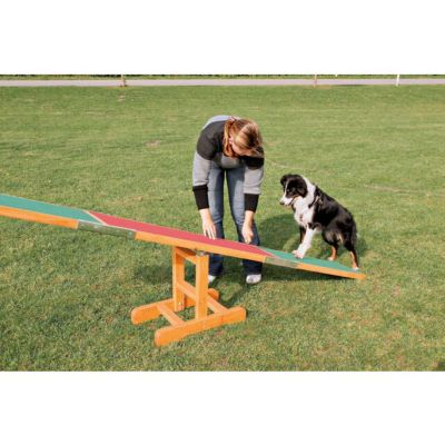 Image showing  Agility Dog Training Seesaw