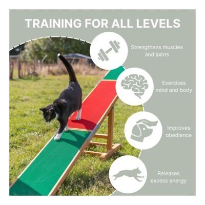 Image showing  Agility Dog Training Seesaw