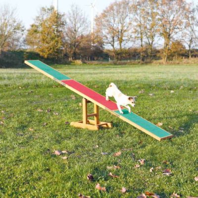 Image showing 8 th TRIXIE Agility Dog Training Seesaw