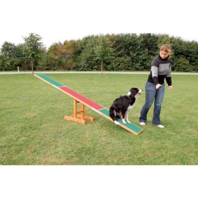 Image showing 10 th TRIXIE Agility Dog Training Seesaw