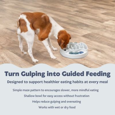 Image showing  Slide & Feed Strategy Game, Beginner Dog Puzzle Toy, Level 1 Activity, Treat Puzzle, Enrichment, Slow Feeder