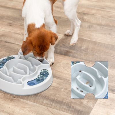 Image showing 5 th TRIXIE Slide & Feed Strategy Game, Beginner Dog Puzzle Toy, Level 1 Activity, Treat Puzzle, Enrichment, Slow Feeder