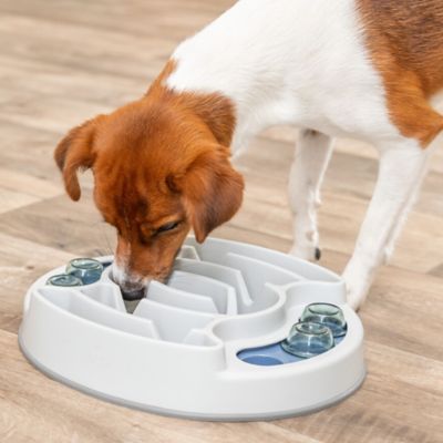 Image showing 6 th TRIXIE Slide & Feed Strategy Game, Beginner Dog Puzzle Toy, Level 1 Activity, Treat Puzzle, Enrichment, Slow Feeder