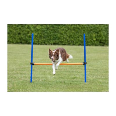 Image showing  Portable Adjustable Agility Dog Training Hurdle