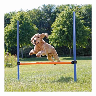 Image showing  Portable Adjustable Agility Dog Training Hurdle