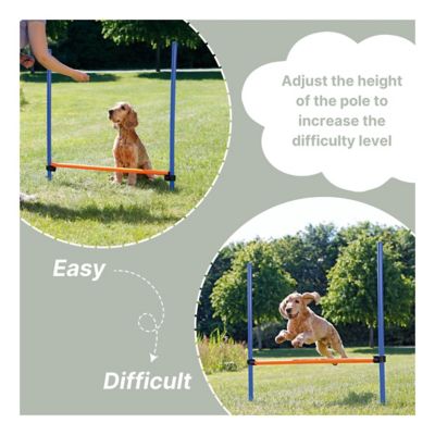 Image showing  Portable Adjustable Agility Dog Training Hurdle