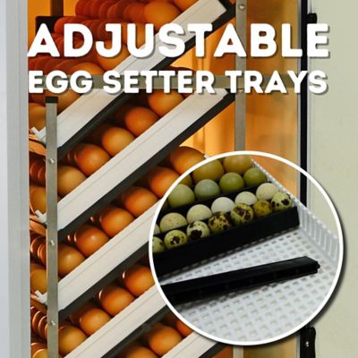 Image showing 8 th Hatching Time HB Series 700 Setter Only Full Automatic Chicken Egg Incubator