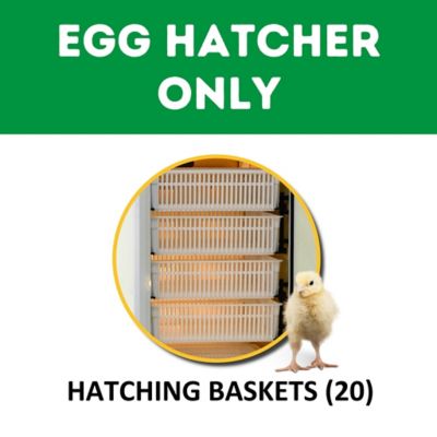 Image showing  HB Series 700 Hatcher Only Full Automatic Chicken Egg Incubator