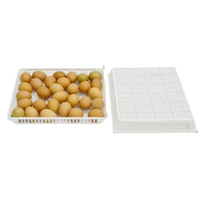 Image showing  120 Eggs Conturn Automatic Turner and Hatching Basket Set for Incubators
