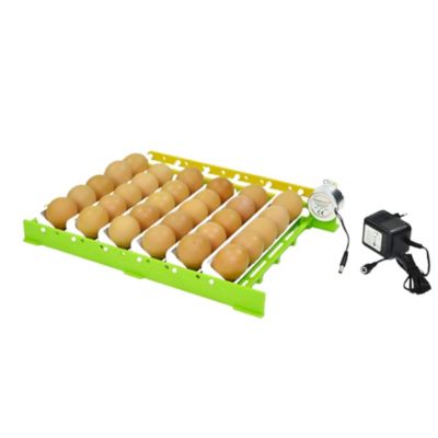 Image showing  180 Eggs Conturn Automatic Turner and Hatching Basket Set for Incubators