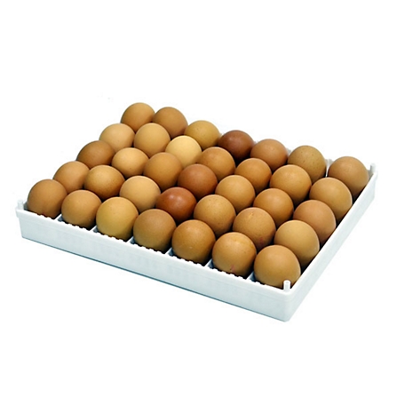 Cimuka Adjustable Egg Setter Tray