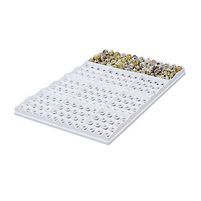 Cimuka Quail Egg Setter Tray - 208 Eggs